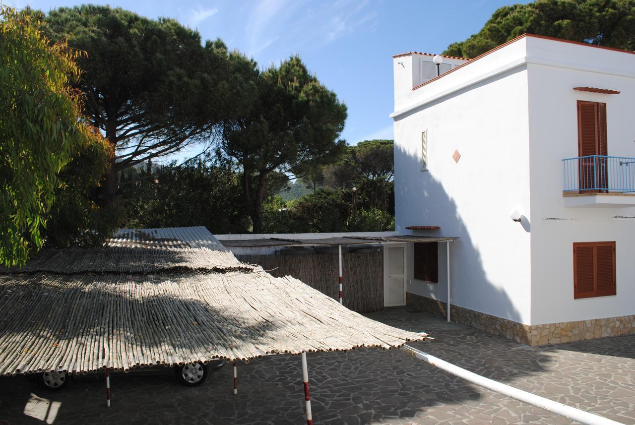 Hotel Mastropeppe *