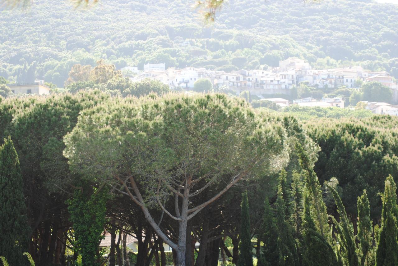 Hotel Mastropeppe *